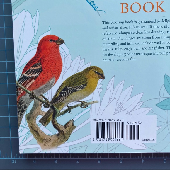 The Beauties of Nature Coloring Book: Flowers, Birds, Butterflies, & Wildlife - Picture 11 of 12